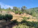 Acheter Terrain SERTA rgion CASTELO-BRANCO