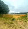 Annonce Vente Local commercial ALDREU