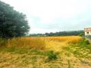 Acheter Local commercial 1500 m2 ALDREU