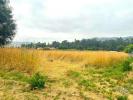 Acheter Local commercial ALDREU rgion BRAGA