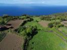 Acheter Terrain LAJES-DO-PICO rgion ACORES