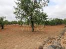 Annonce Vente Terrain FARO