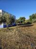 Acheter Local commercial 181 m2 VIDIGUEIRA