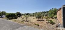 Annonce Vente Terrain ALCOENTRE
