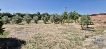 Acheter Terrain 923 m2 ALCOENTRE