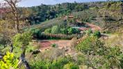 Annonce Vente Terrain ALJEZUR