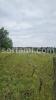 Acheter Terrain ANADIA rgion AVEIRO