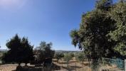 Acheter Terrain 850 m2 PORTO-DE-MOS