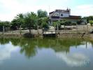 Annonce Vente Terrain BEJA