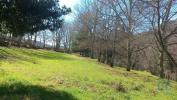 Acheter Terrain 1310 m2 BAIAO
