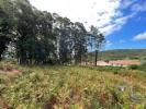 Annonce Vente Terrain ESPOSENDE