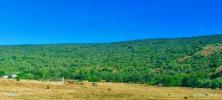 Annonce Vente Terrain LOULE
