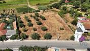 Annonce Vente Terrain RIO-MAIOR