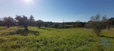 Acheter Terrain 427 m2 RIO-MAIOR