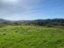 Acheter Terrain 7194 m2 LEIRIA