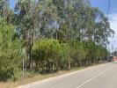 Annonce Vente Terrain LEIRIA