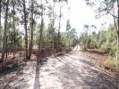 Acheter Terrain 1665 m2 OUREM