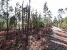 Acheter Terrain OUREM rgion SANTAREM