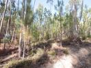 Acheter Terrain 1840 m2 OUREM