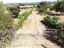Acheter Maison REDONDO rgion EVORA