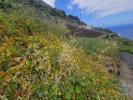Acheter Terrain RIBEIRA-BRAVA rgion MADEIRA