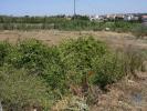 Acheter Terrain 4160 m2 TORRES-VEDRAS