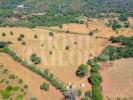Acheter Terrain 22160 m2 SETUBAL