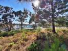 Annonce Vente Terrain CALDAS-DA-RAINHA