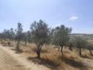 Acheter Maison 144 m2 MOGADOURO