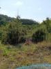 Acheter Terrain 12200 m2 ALCOBACA
