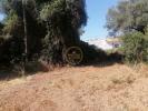 Annonce Vente Terrain LOULE