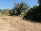 Acheter Terrain 445 m2 LOULE
