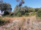 Acheter Terrain LOULE rgion FARO