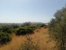 Annonce Vente Terrain LOULE
