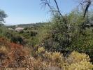 Acheter Terrain LOULE rgion FARO