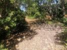 Annonce Vente Terrain LOULE