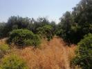 Acheter Terrain 3440 m2 LOULE