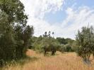 Annonce Vente Terrain FERREIRA-DO-ZEZERE