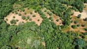 Acheter Terrain 3680 m2 FERREIRA-DO-ZEZERE