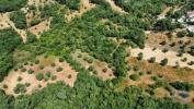 Acheter Terrain FERREIRA-DO-ZEZERE rgion SANTAREM