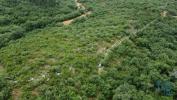 Vente Terrain FERREIRA-DO-ZEZERE 2240