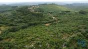 Annonce Vente Terrain FERREIRA-DO-ZEZERE