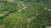 Acheter Terrain 3880 m2 FERREIRA-DO-ZEZERE