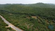 Acheter Terrain 4480 m2 FERREIRA-DO-ZEZERE