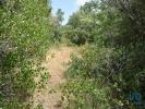 Annonce Vente Terrain FERREIRA-DO-ZEZERE