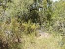 Acheter Terrain 880 m2 FERREIRA-DO-ZEZERE