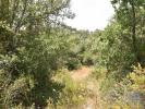 Acheter Terrain FERREIRA-DO-ZEZERE rgion SANTAREM