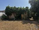 Acheter Maison 155 m2 ALBERGARIA-A-VELHA