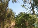 Annonce Vente Terrain FERREIRA-DO-ZEZERE