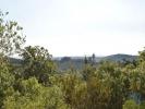 Acheter Terrain 8600 m2 FERREIRA-DO-ZEZERE